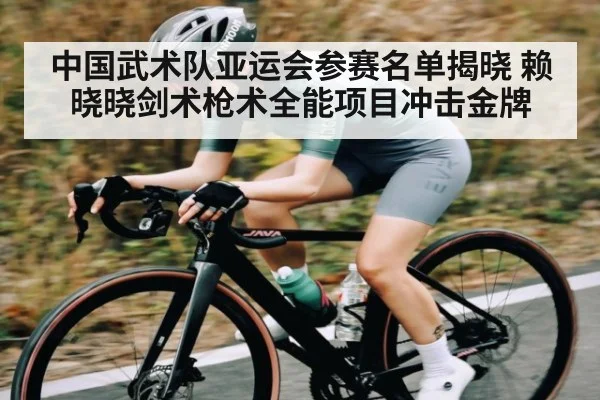 中国武术队亚运会参赛名单揭晓 赖晓晓剑术枪术全能项目冲击金牌