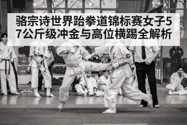 taekwondo championship match arena